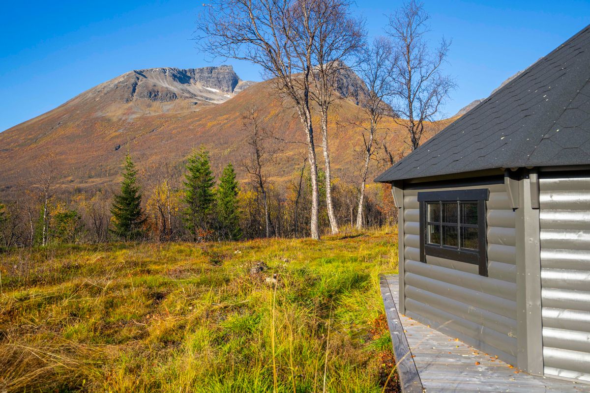 Gapahuk  17 m2 Royal med grill og benker - Buet vegg